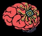 Brain Implant — How Many Dudes? relic
