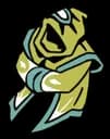 Protective Cloak — How Many Dudes? relic