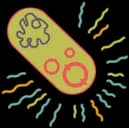 Unstable Plasmid — How Many Dudes? relic